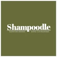 Shampoodle